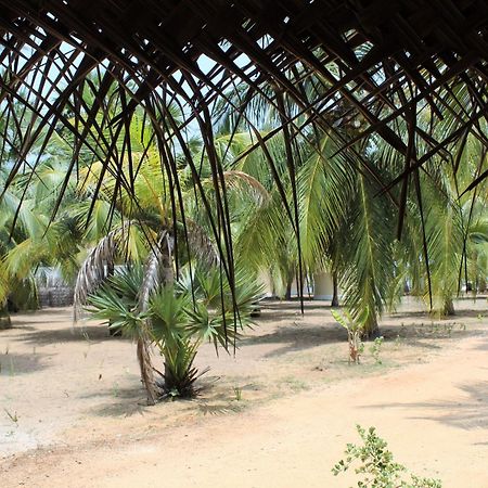 Anawasal Hotel Kalpitiya Bagian luar foto